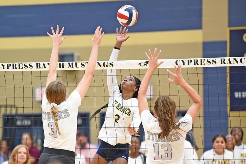 Cypress Ranch High School freshman Taylor Porter was named District 16-6A’s Co-Newcomer of the Year. 